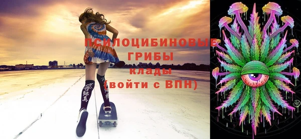 стаф Абаза