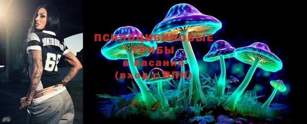 стаф Абаза