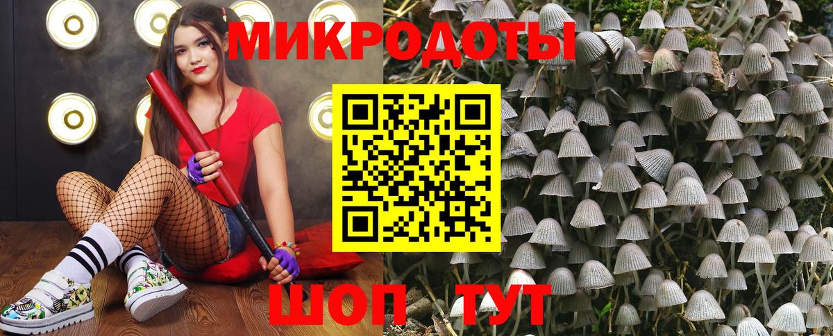 Галлюциногенные грибы Magic Shrooms Смоленск